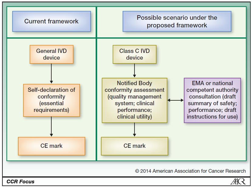 Pathway to CE marking of companion diagnostics (E.