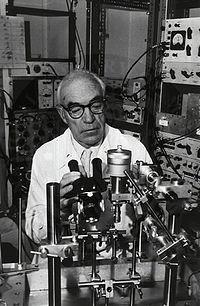 Eccles (1902-1997, Nobel, Australian Nueorphysiologist): using the stretch reflex as a model, he studied synaptic excitation and inhibition.