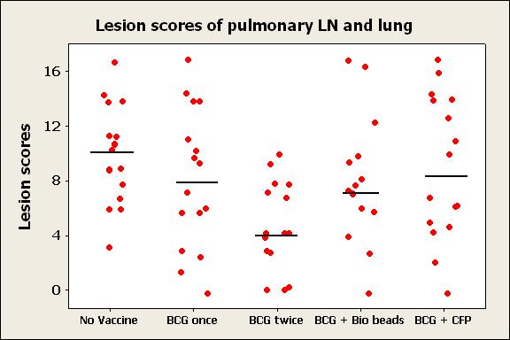 Total lung and pulmonary lymph node lesion scores following challenge with M.