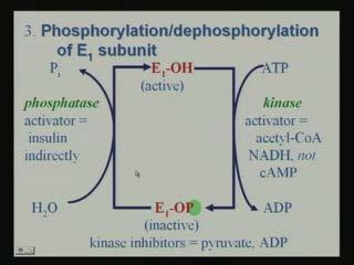 (Refer Slide Time: 26:30) And the third way of controlling this is the phosphorylation and dephosphorylation of the E 1 that first moieties, that E 1 subunit of pyruvate dehydrogenase.