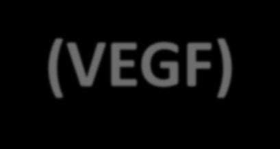 Vascular Endothelial Growth Factor (VEGF) VEGF Β- Actin D C RL SL Vascular endothelial growth