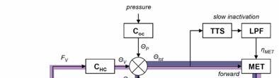 Homeostatic regulation of the OHC operating point and basolateral permeability Interlocking negative feedback loops within the OHCs i) control operating point via slow motility and fast