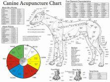 Acupuncture Element of Traditional Chinese Medicine All living beings have vital energy called Qi Encourages healing by correcting energy imbalances in the body It can help with: Releasing