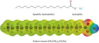 Soap*in*Ac%on lipophilic chains of soap are attracted to