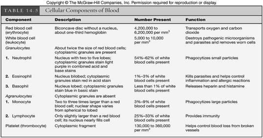 Blood Platelets thrombocytes cell fragments of megakaryocytes 130,000