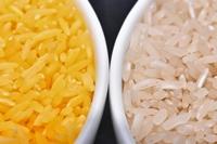 What is Golden Rice? Golden Rice is unique because it contains beta carotene, which gives it a golden color.
