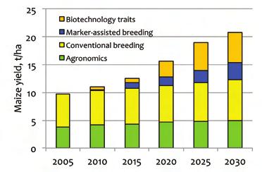 Food Security 15 Figure 3. Anticipated impact of improvements in agronomics, breeding, and biotechnology on average maize yields in the USA (Edgerton, 2009).