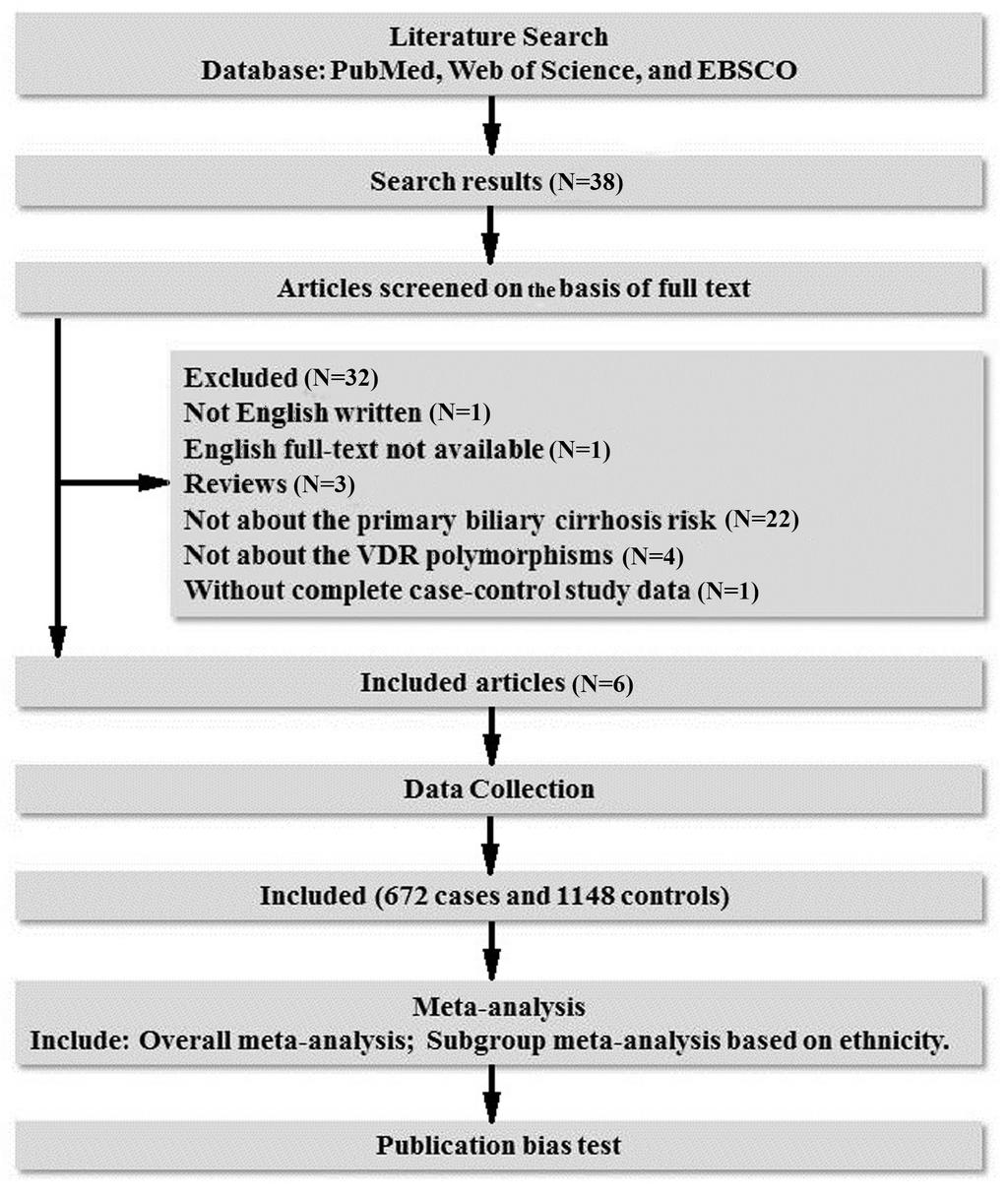 VDR polymorphisms and primary biliary cirrhosis risk 983 Figure 1. Workflow chart of this study.