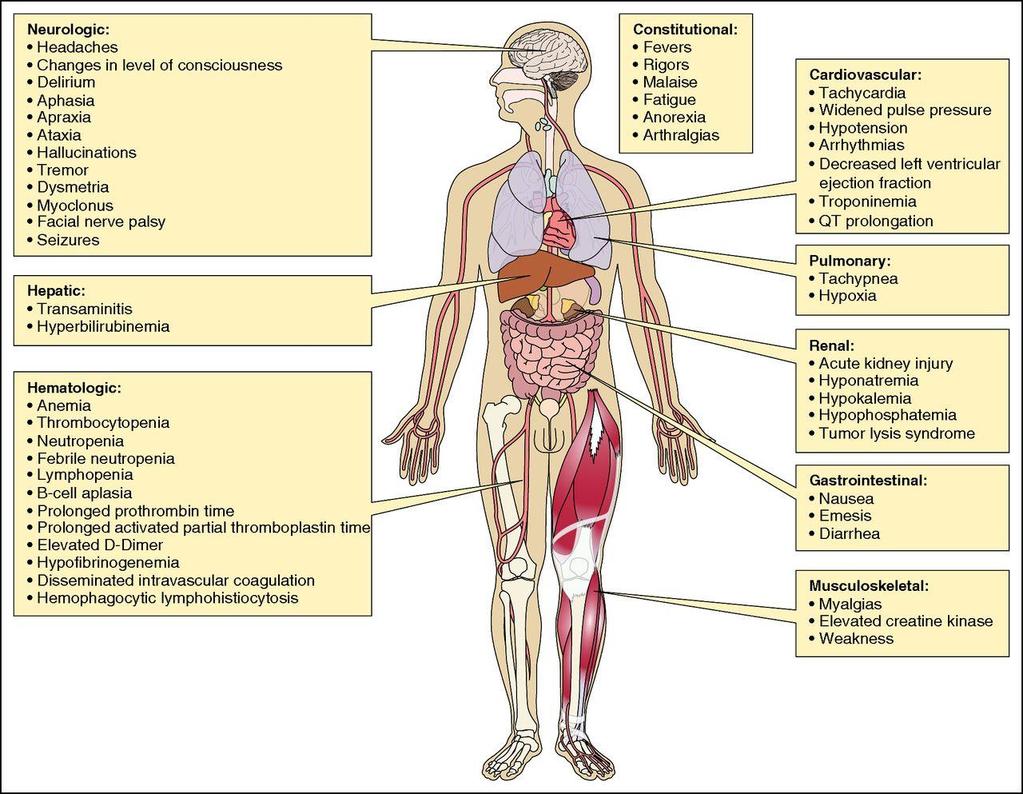 CAR T Cell Toxicities 34