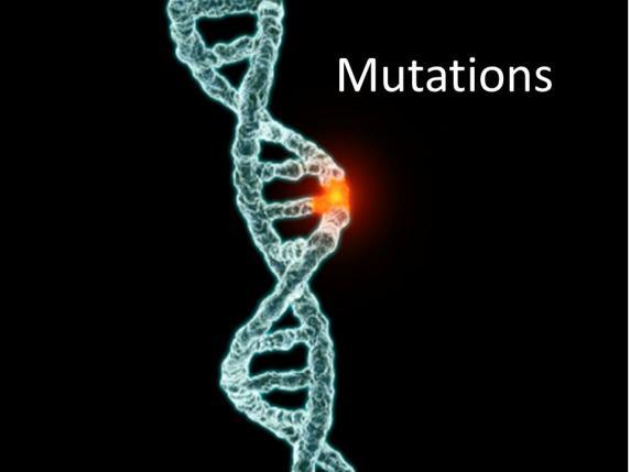 DNA Mutations 2 categories: