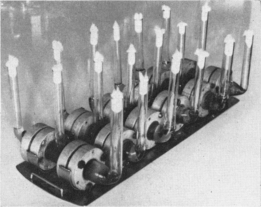 1957] DETERMINATION OF VITAMINS AND AMINO ACIDS 161 FIG. 2. Six of the three-compartment dialysis cells assembled on a rack. f FIG. 3.