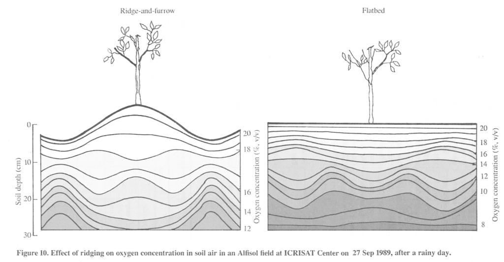 Distribution of oxygen concentration in the soil air under