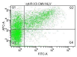 IL2 TNF TNF Ag-specific function of CMV -Td T cells IL2