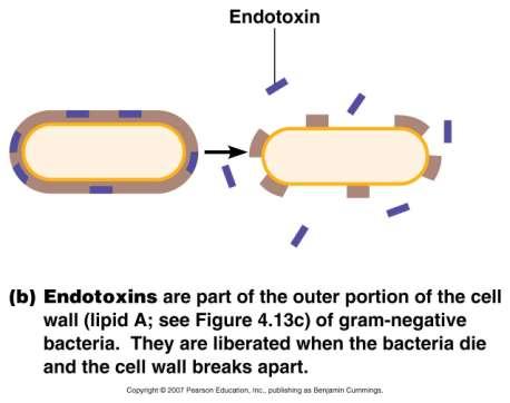 III. How Bacterial Pathogens Damage Host Cells 2. Endotoxins: lipopolysaccharides (LPS) in cell wall, lipid A portion. a.