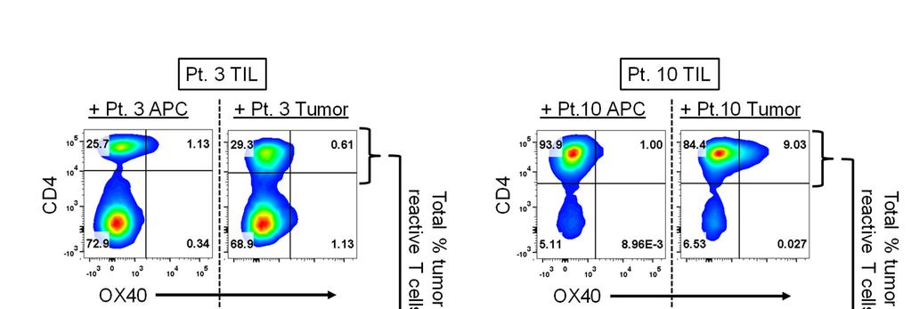 Supplementary Figure Appendix p.5 In vitro flow cytometric assessment of tumor reactive T cell frequency.