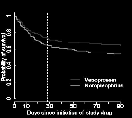 NE alone in less severe septic shock Post-hoc analysis also suggests that vasopressin may reduce progression to renal failure and need for RRT in patients at high risk of AKI