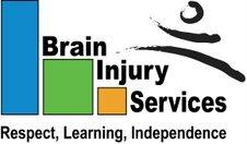Aggregate Assessment Report Summary March 15, 2016 This report includes a summary of the annual client data collected at Brain Injury Services.