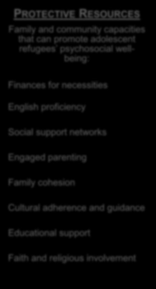 Finances for necessities English proficiency Social support networks Engaged parenting Family cohesion