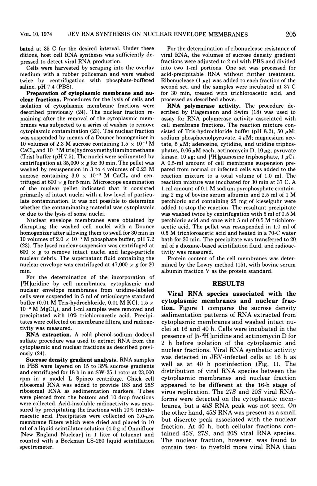 VOL. 10, 1974 JEV RNA SYNTHESIS ON NUCLEAR ENVELOPE MEMBRANES bated at 35 C for the desired interval.