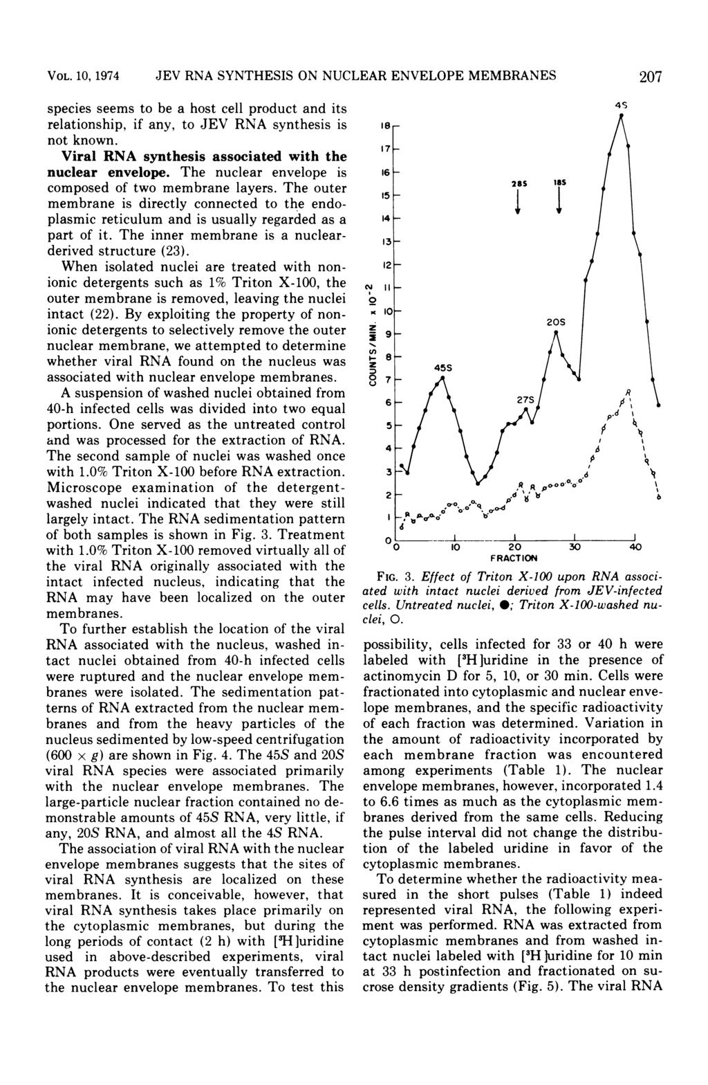 VOL. 10, 1974 JEV RNA SYNTHESIS ON NUCLEAR ENVELOPE MEMBRANES species seems to be a host cell product and its relationship, if any, to JEV RNA synthesis is not known.
