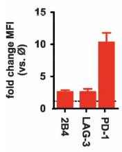 PD-L1 expression is regulated by IFNg T T T adoptive