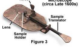 Cells Leeuwenhoek used a simple microscope and looked at pond water He