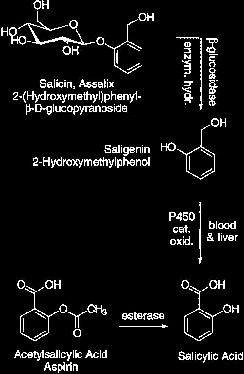 Aspirin as a drug 3 Salicin of willow bark was used medicinally. Active ingredient was found to be salicylic acid. Salicin is hydrolyzed to saligenin and glucose by β-glucosidase.