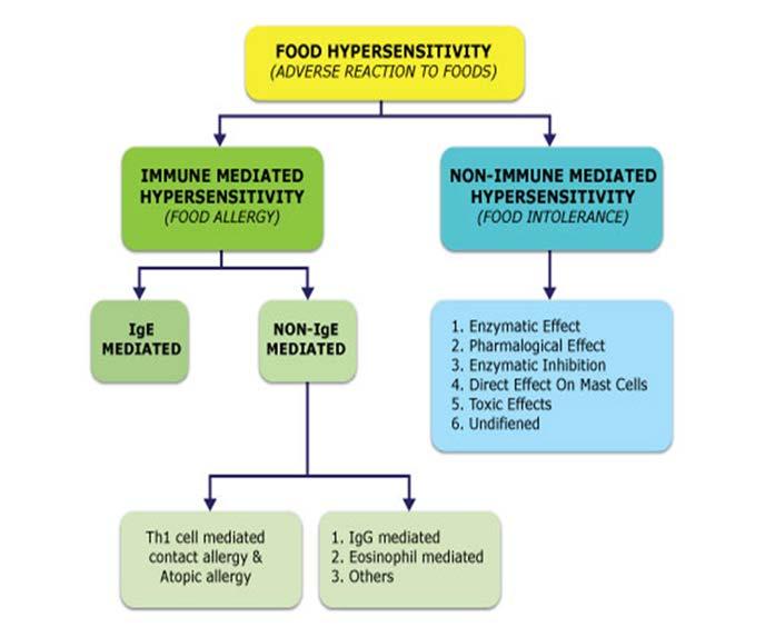 Food Hypersensitivity Source: