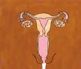 UNWANTED long- term methods (IUCD, Implants), and permanent methods PREGNANCY AND STIs.