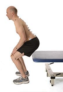 sagittal spinal postures exist