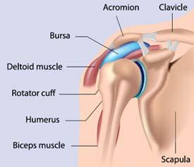 Shoulder Pain: 25-73% of patients will have an episode of shoulder pain after SCI injury.