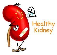 WHY KIDNEYS ARE IMPORTANT Kidneys work 24 hours day 7