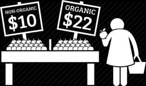 4 ND = Not detected Price differential Organic vegetables are much more expensive than nonorganic ones. For instance, 1 kg of organic fenugreek procured from Big Basket cost Rs.
