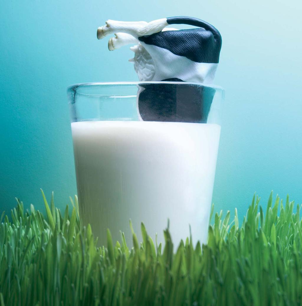 ...when your child starts primary school Eating well is important throughout the school day, and making milk part of that healthy routine is a great start to your child s time at school.