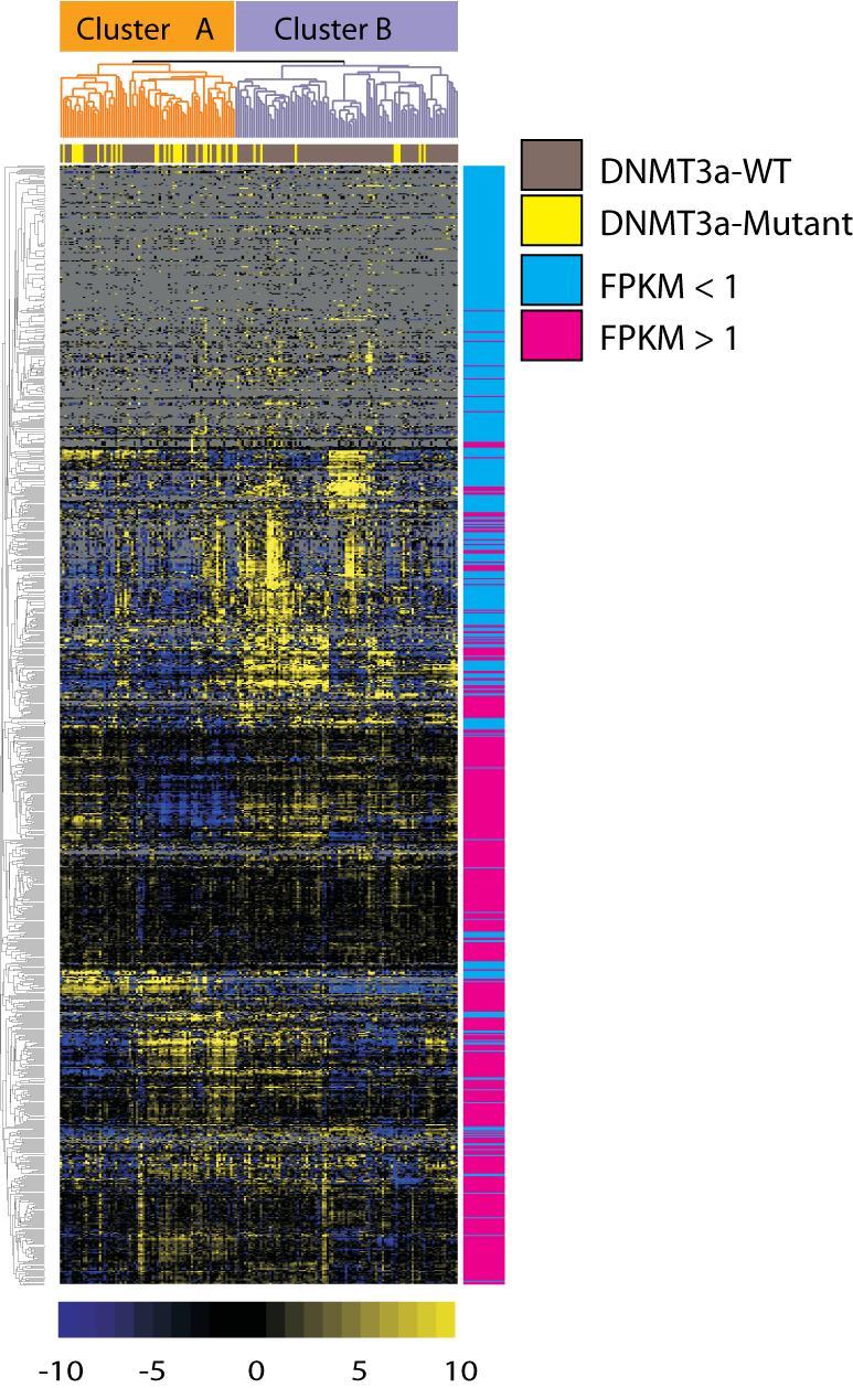 Supplementary Figure 10. Unsupervised clustering analysis of Canyon genes separates WT and DNMT3A mutant in 173 TCGA AML.