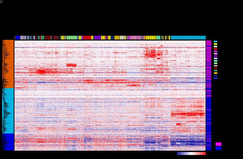 Supplementary Figure 11. Heatmap of unsupervised clustering analysis of Canyon gene expression from 947 Cancer Cell Line Encyclopedia (CCLE).