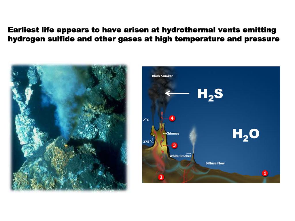Life is thought to have first arisen in a sulfur-rich environment in the ocean