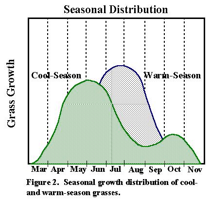 SELECTION COOL SEASON VS WARM SEASON GRASSES Several