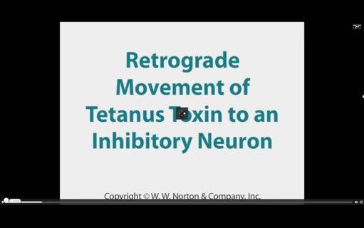 Clostridium tetani and Tetanus