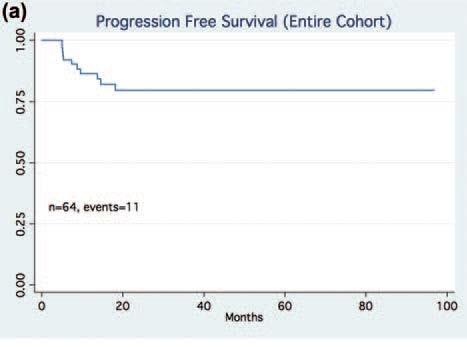 DLBCL intensive therapy R-hyperCVAD DA-EPOCH-R Excellent PFS for DLBCL treated with intensive