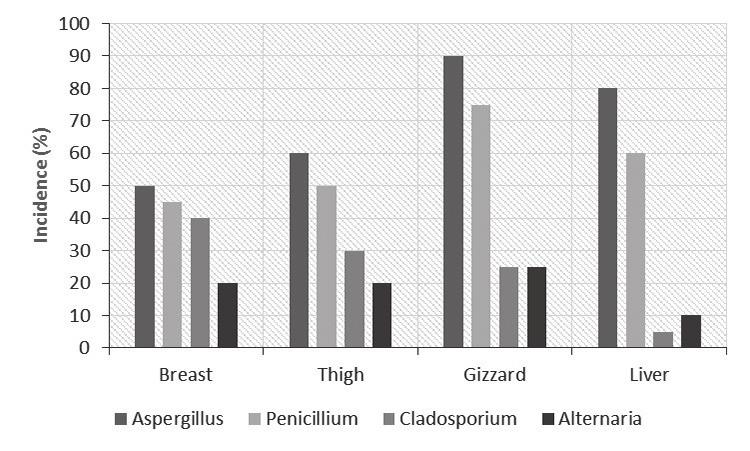 Rhizopus. Additionally, Iacumin et al. 6), mentioned that Penicillium and Aspergillus were the mainly isolated moulds from sausage marketed in Italy. Furthermore, Saccomori et al.