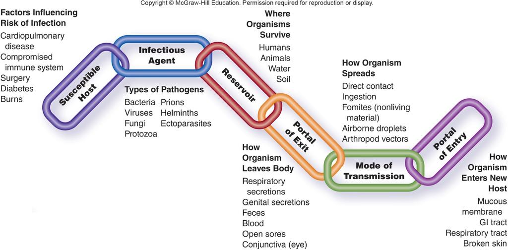 The Chain of Infection No reproduction or