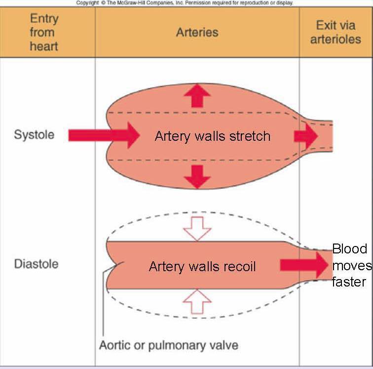 Arterial Pressure Because arteries are very elastic, they maintain the high pressure initially produced by the heart: the artery walls get stretched by the extra volume of blood, and then recoil,