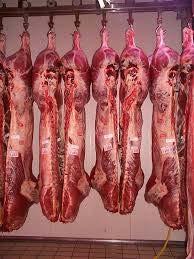 Beef Carcasses Split 12 th