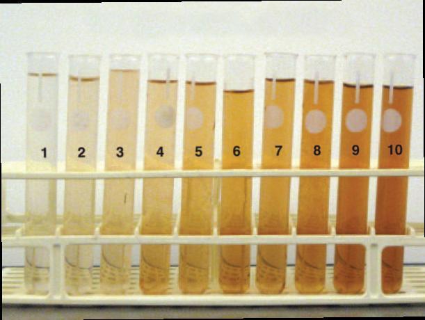 Figure 1. Turnip Peroxidase Color Chart Materials Turnip peroxidase*(see appendix for preparation) 0.