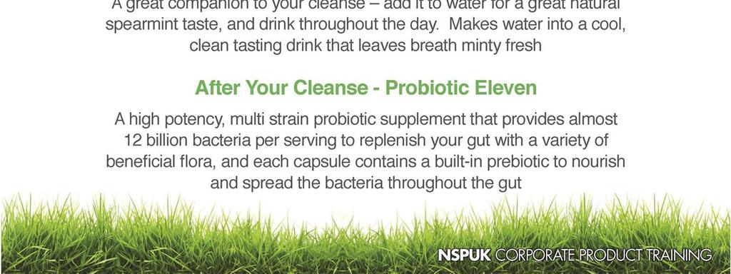 Not only does this help the body to flush out its system, but it also helps the fibre in the cleanse to work effectively throughout the intestinal system.