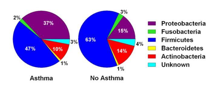 Asthma Microbiome: Sputum from adults Induced sputum from 10 adults with mild asthma (8/10, no ICS use) and 10