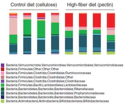 Diet affects Asthma by changing Gut Microbiome Mice with