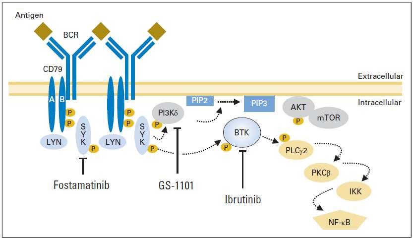 Targeting the B-Cell-Receptor Pathway Idelalisib GS-9973