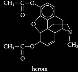 the brain Highly addictive Morphine Derivative Heroin Destructive and a hard illegal drug Addicts are likely to commit crimes to